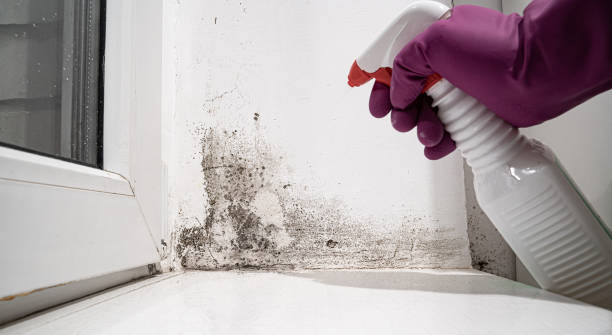 Best 24-hour water damage restoration  in Dallas, NC